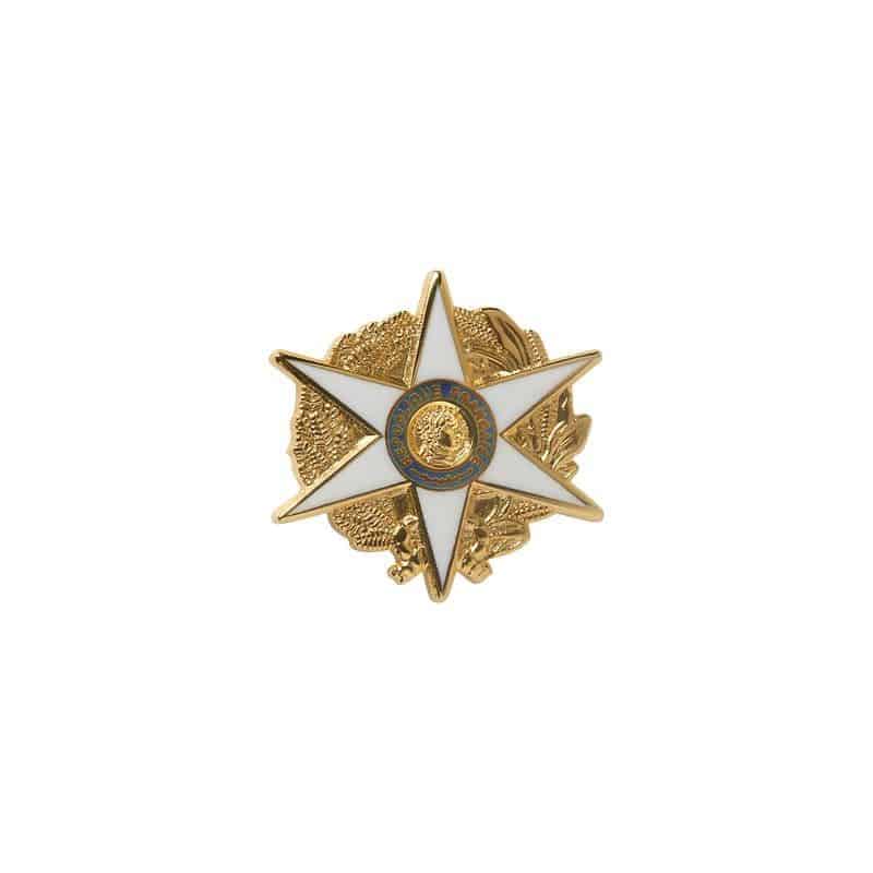 Boutonnière de l'Ordre du Mérite Agricole - Officier