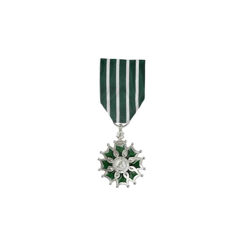Médaille de l'Ordre des Arts & des Lettres - Chevalier