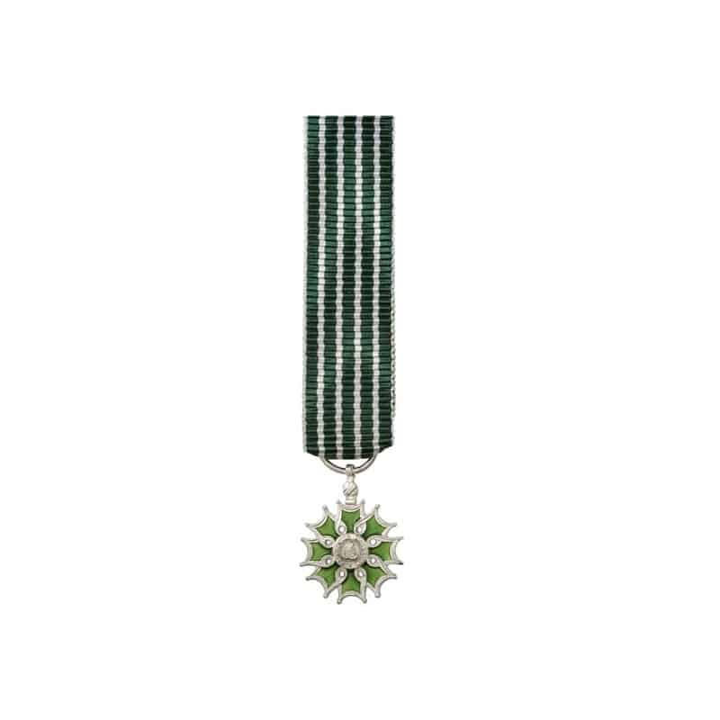 Médaille Réduction de l'Ordre des Arts & des Lettres - Chevalier