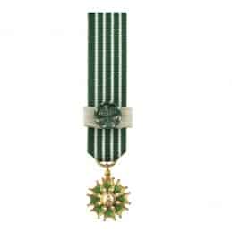 Médaille Réduction Arts & des Lettres - Commandeur
