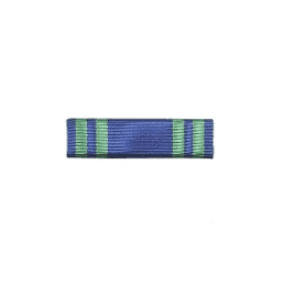 Barrette Dixmude de l'Ordre du Mérite Maritime - Chevalier