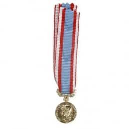Médaille Réduction Commémorative d'Afrique du Nord (A.F.N.)