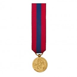 Médaille Réduction de la...