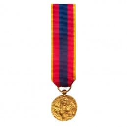 Médaille Réduction de la Défense Nationale - Or (doré)
