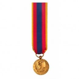 Médaille Réduction de la Défense Nationale - Or (doré)