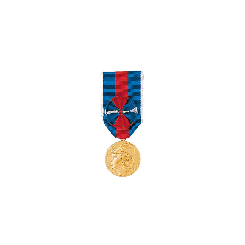 Médaille des Services Militaires Volontaires - Or