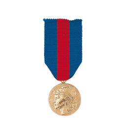Médaille des Services Militaires Volontaires - Bronze