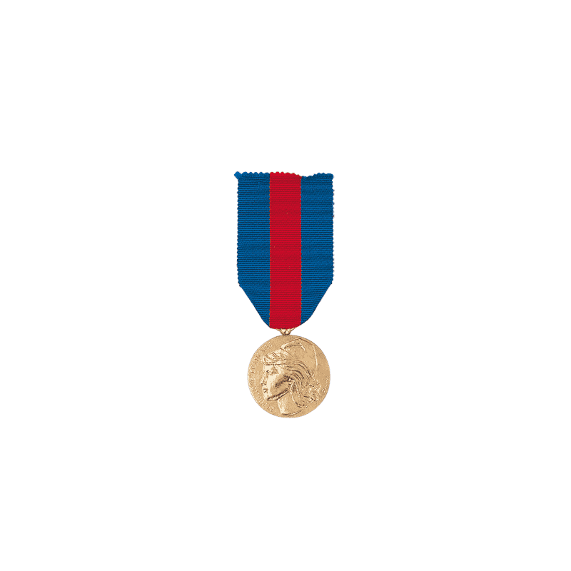Médaille des Services Militaires Volontaires - Bronze