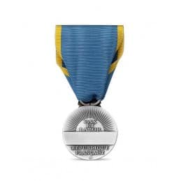 Médaille d'Honneur Jeunesse, Sports et Engagement Associatif - Argent (argenté)