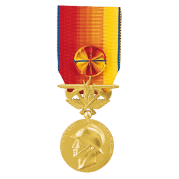 Médaille Services Exceptionnels des Sapeurs-pompiers - Vermeil