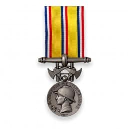 Médaille des Sapeurs Pompiers - Echelon Argent (20 ans)
