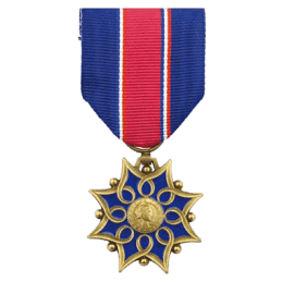 Médaille d'Honneur de la Santé & des Affaires Sociales - Bronze