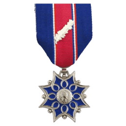 Médaille d'Honneur de la Santé & des Affaires Sociales - Argent (argenté)