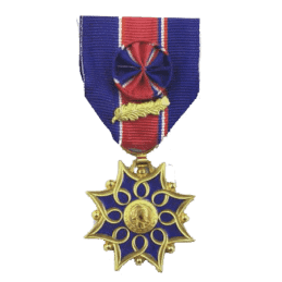 Médaille d'Honneur de la Santé & des Affaires Sociales - Or (doré)