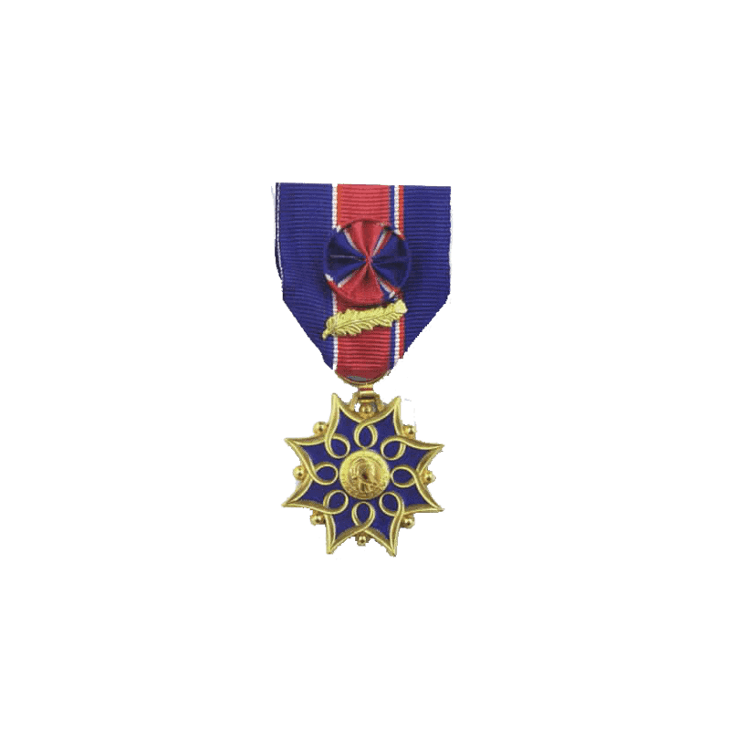 Médaille d'Honneur de la Santé & des Affaires Sociales - Or (doré)