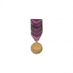 Médaille d'Honneur de la Protection Judiciaire de la Jeunesse - Bronze