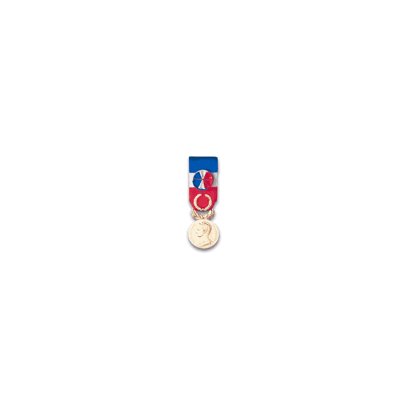 Médaille d'Honneur du Travail - Grand Or (40 ans)