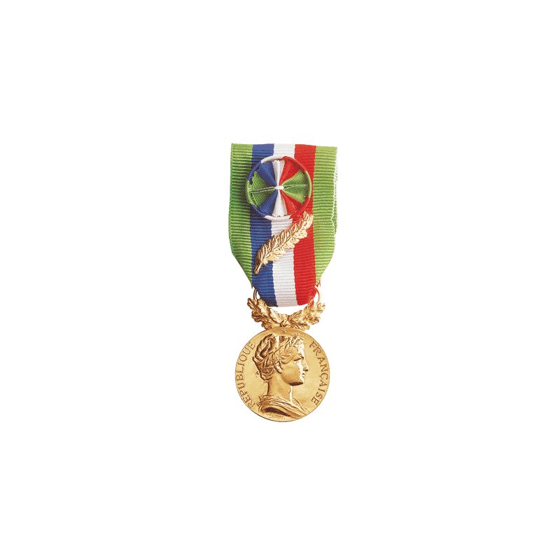 Médaille d'Honneur du Travail Agricole - Or (35 ans)