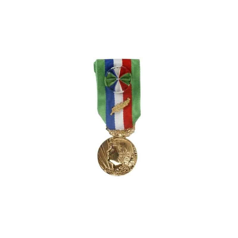 Médaille d'Ancienneté du Travail Agricole - Or (35 ans)