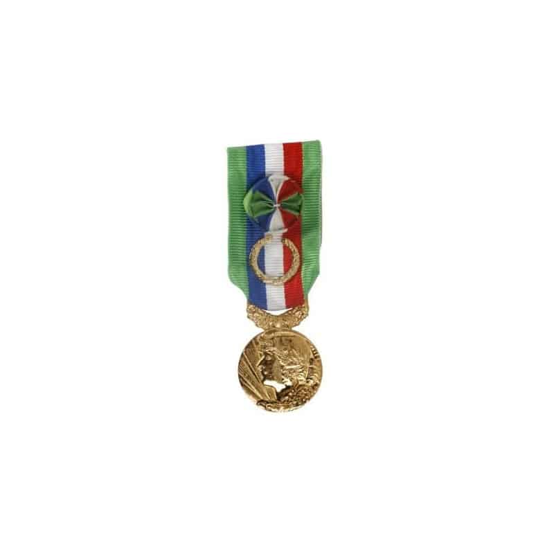 Médaille d'Ancienneté du Travail Agricole - Grand Or (40 ans)
