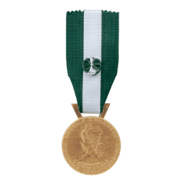 Médaille d'Honneur Régionale, Départementale et Communale - Or (35 ans)