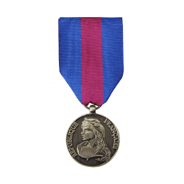 Médaille des Réservistes Volontaires de Défense et de Sécurité Intérieure - Echelon Bronze