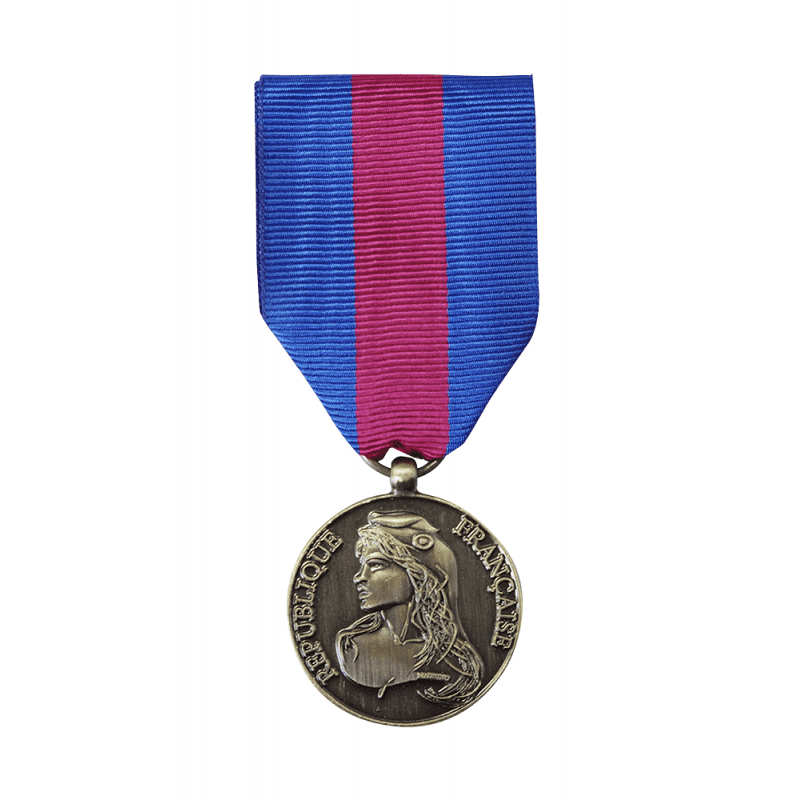 Médaille des Réservistes Volontaires de Défense et de Sécurité Intérieure - Echelon Bronze