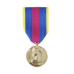 Médaille des Réservistes Volontaires de Défense et de Sécurité Intérieure - Echelon Or