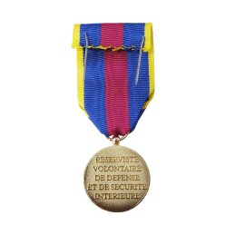 Médaille des Réservistes Volontaires de Défense et de Sécurité Intérieure - Echelon Or