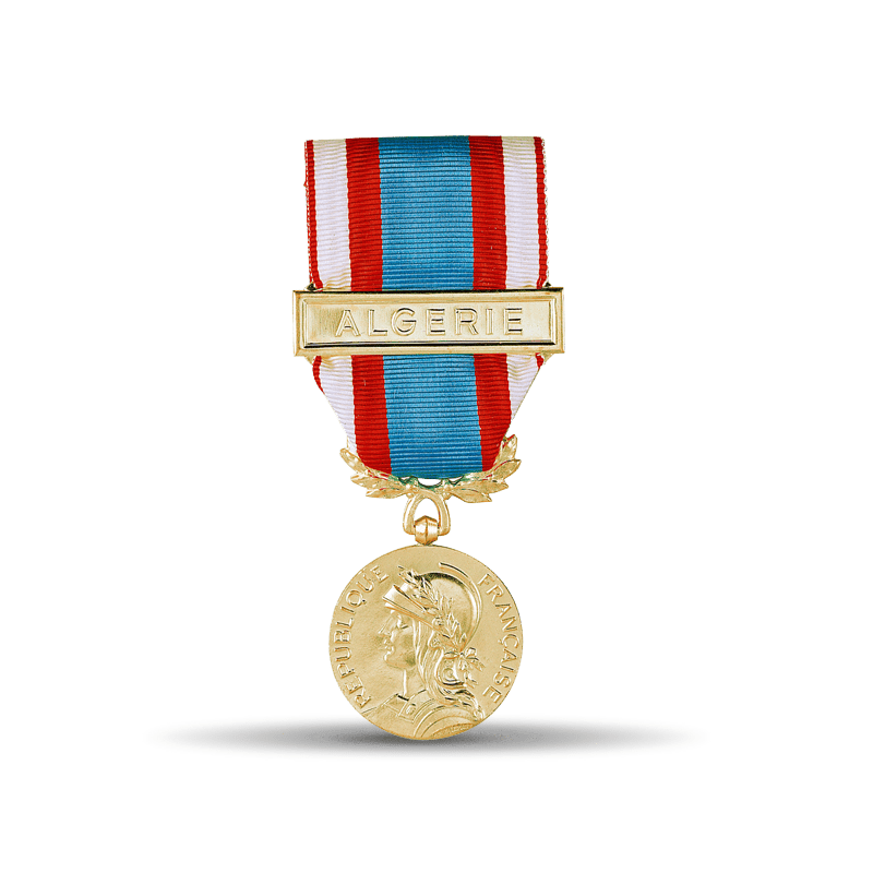 Médaille Commémorative d'Afrique du Nord (A.F.N.)