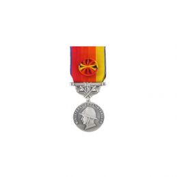 Médaille Services Exceptionnels des Sapeurs-pompiers - Argent