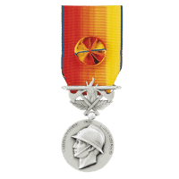 Médaille Service Exceptionnel des Sapeurs Pompiers - Aviso Médailles
