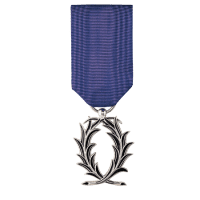 Chevalier de l'Ordre des Palmes Académiques - Aviso Médailles