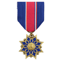Médaille d'Honneur de la Santé & des Affaires Sociales