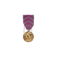 Médaille d'Honneur de la Protection Judiciaire de la Jeunesse - Aviso Médailles