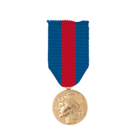 Médaille des Services Militaires Volontaires